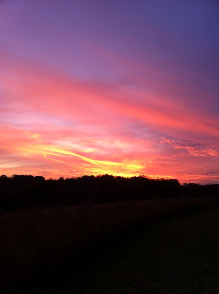 Sunset 2