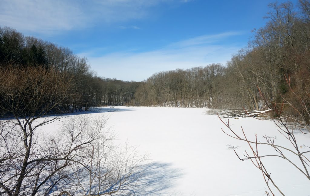 Frozen reservoir on Crum Creek, Ridley Creek State Park #1