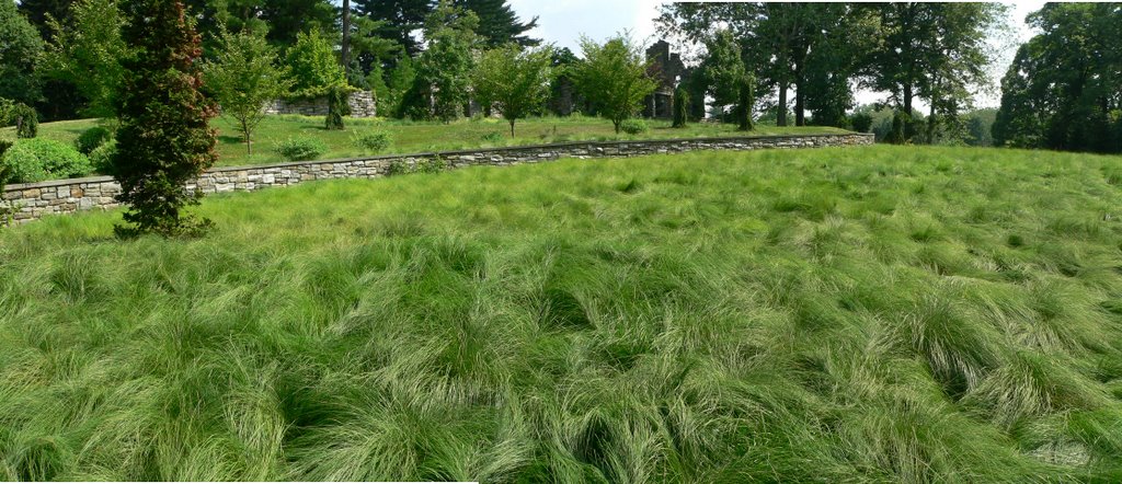 Chanticleer, Ruins Garden Grasses