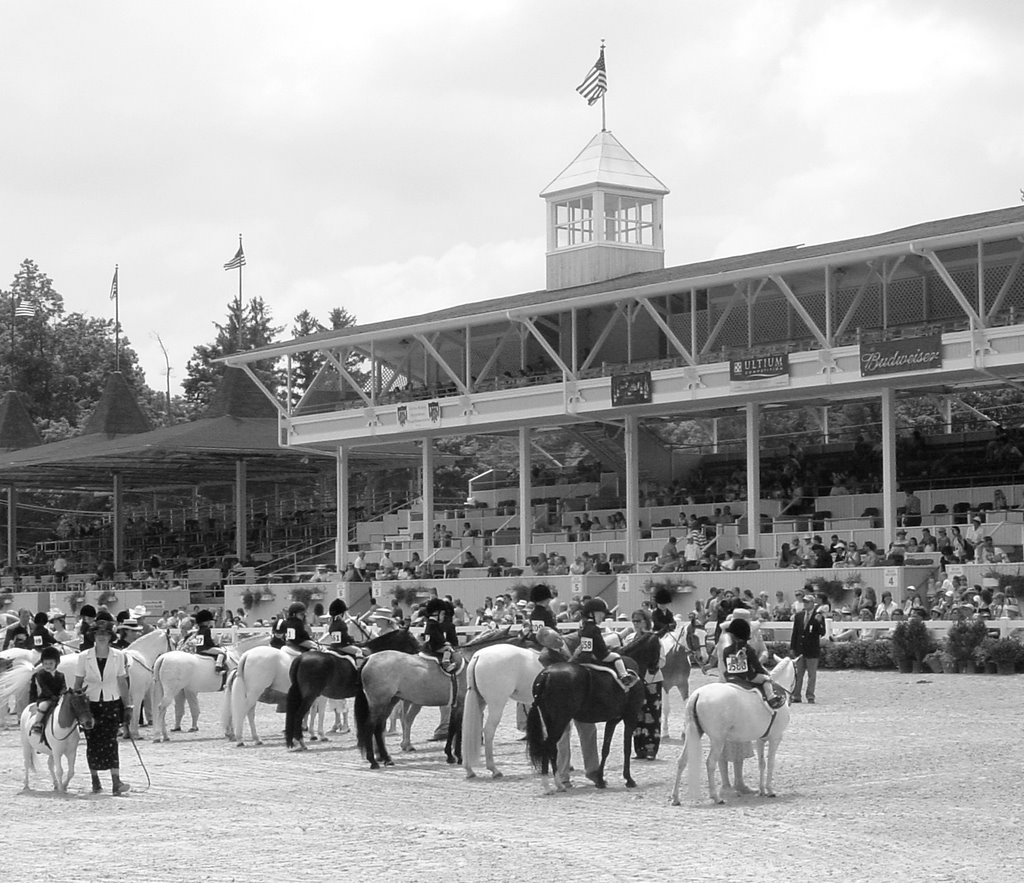Devon Horse Show
