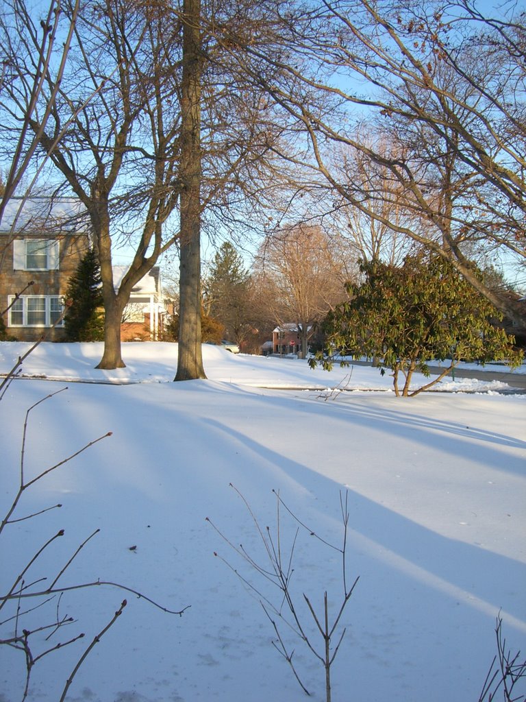 March 19 2007 Snow Day!