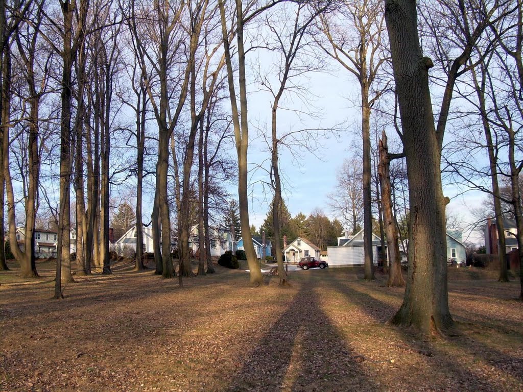 Thompson Nature Park