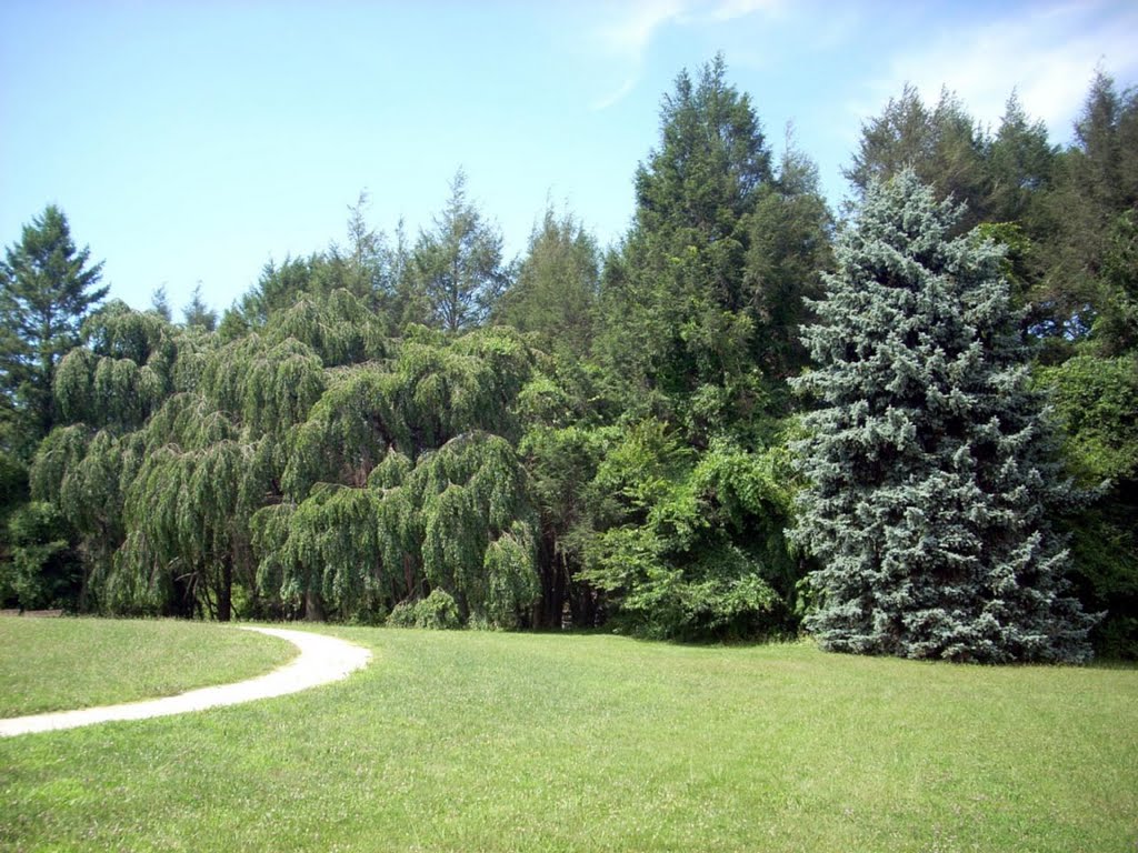 Rosemont Park