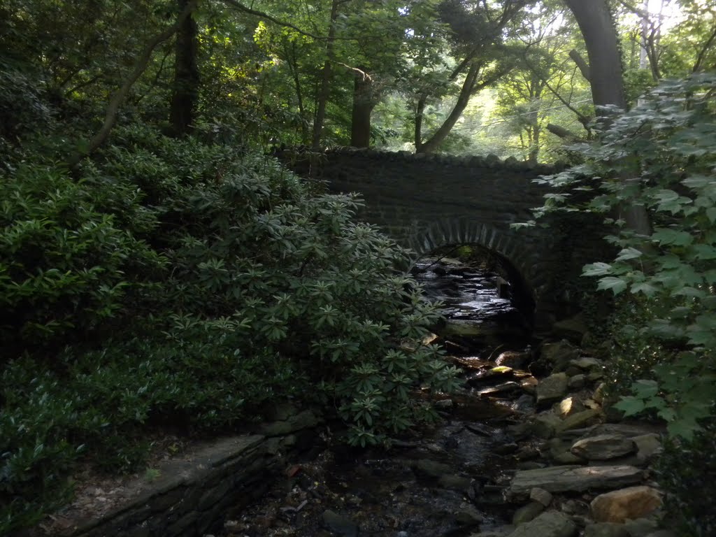 Mill Creek tributary near Cherry Lane, Wynnewood, PA