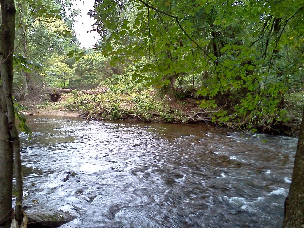 Darby Creek