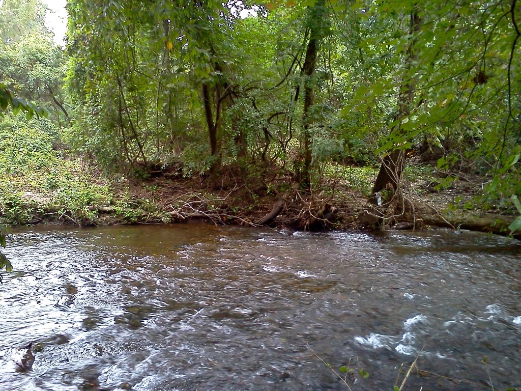 Darby Creek