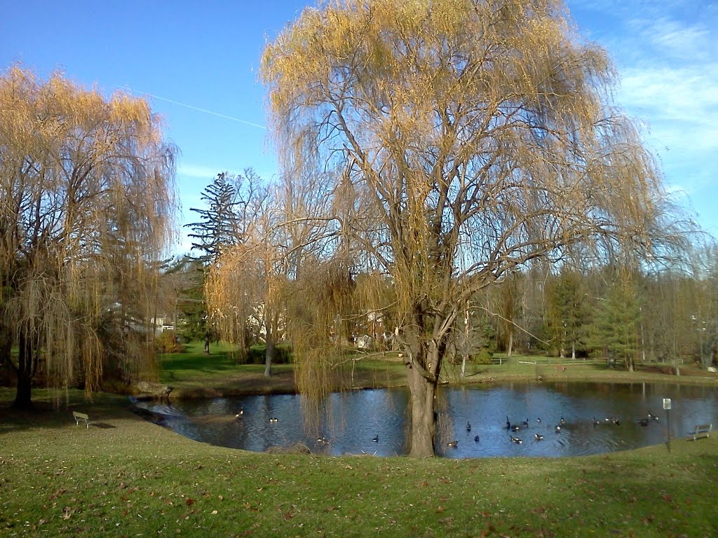 Winding Way Park