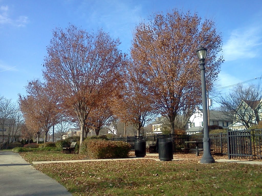 St Davids Community Park
