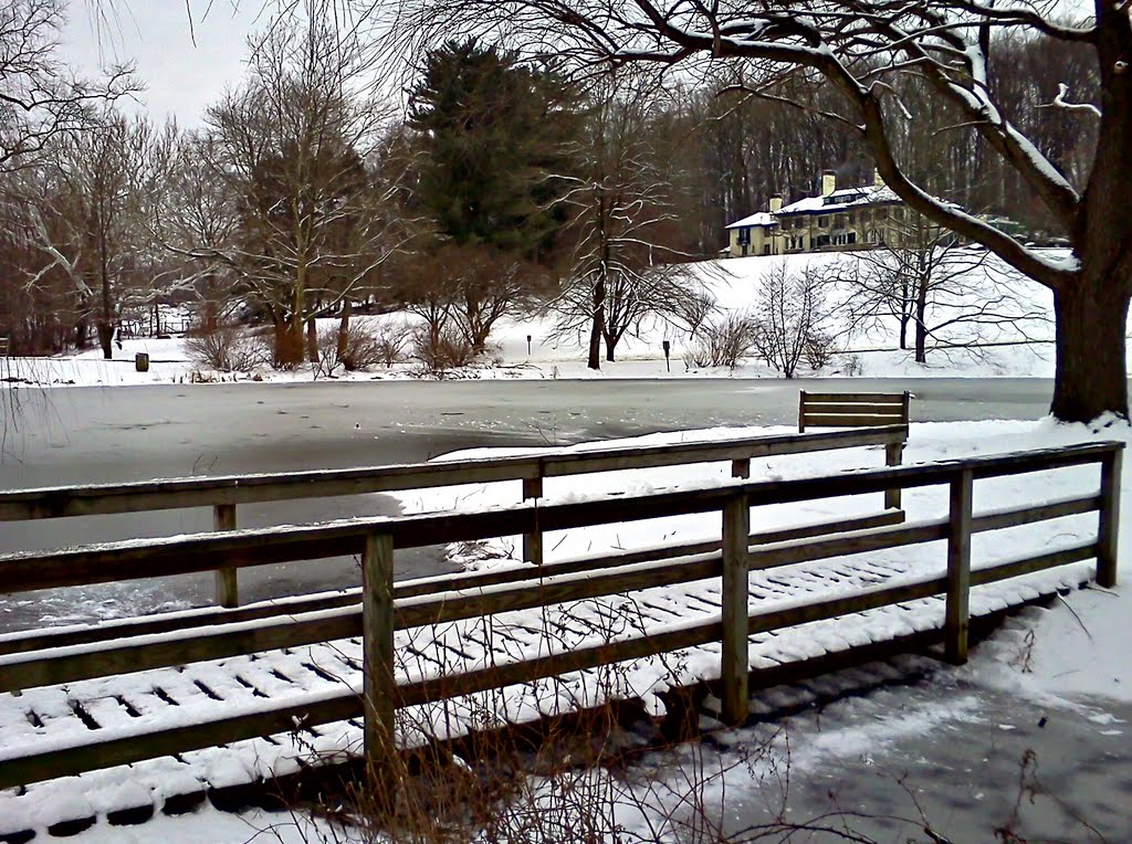 Willows Park
