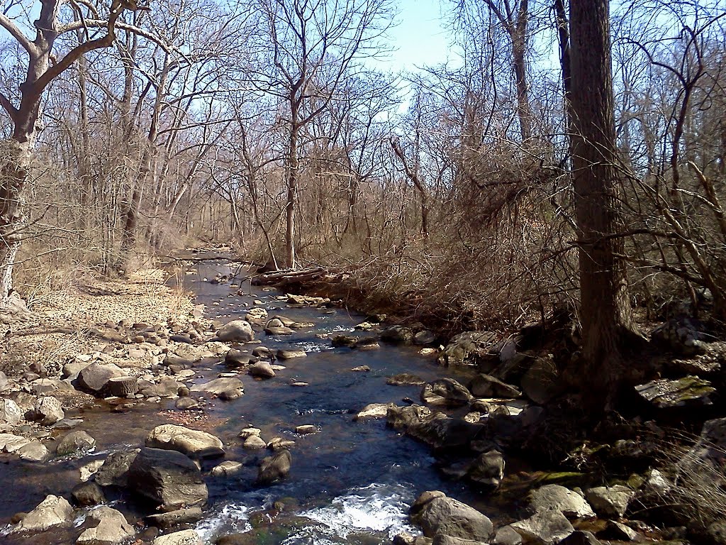Skunk Hollow