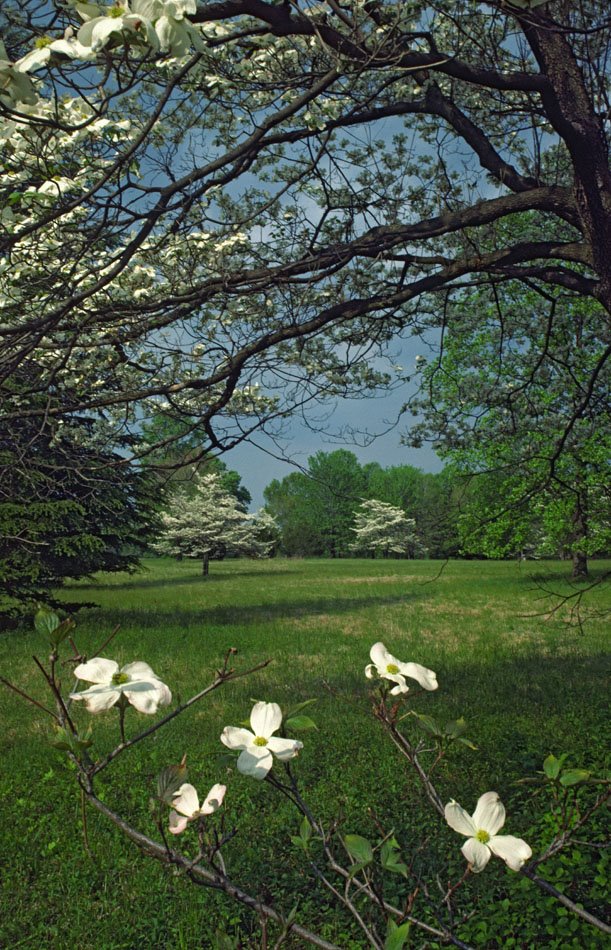 Tyler Arboretum