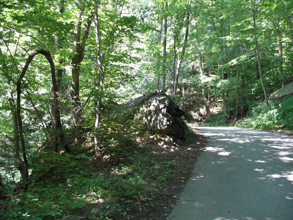 Smedley Park