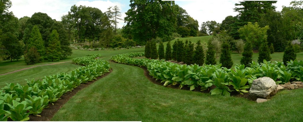 Chanticleer Gardens - Serpentine Garden