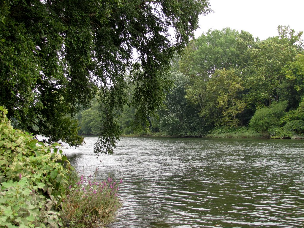 Schuylkill River Upstream from Confluence