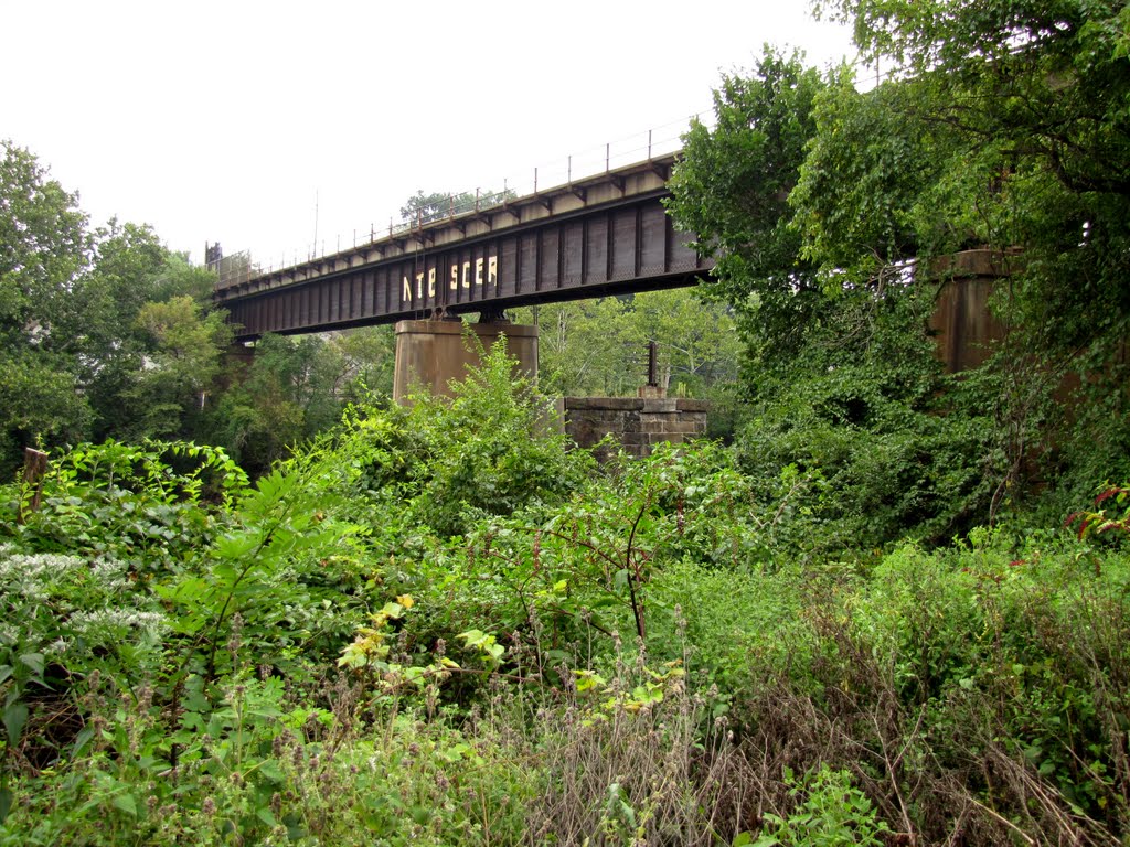 Tulpehocken Creek RR Trestle