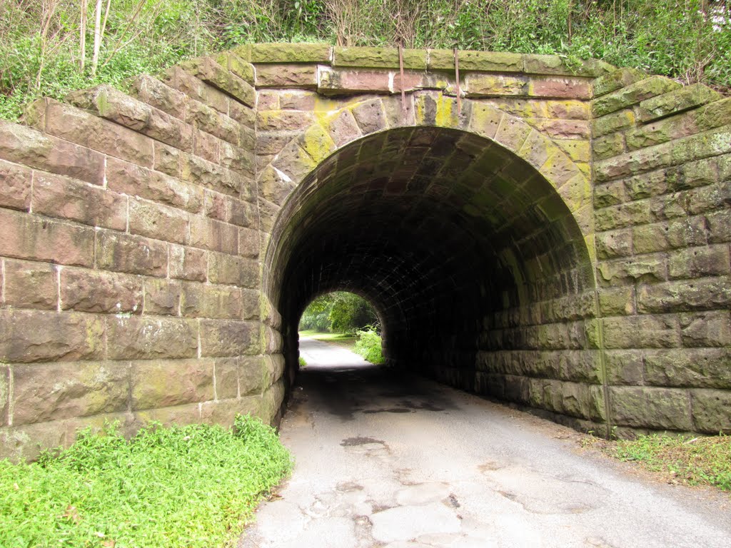 Monroe Street Tunnel from North