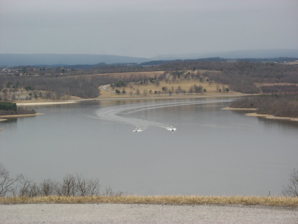 Two Boats