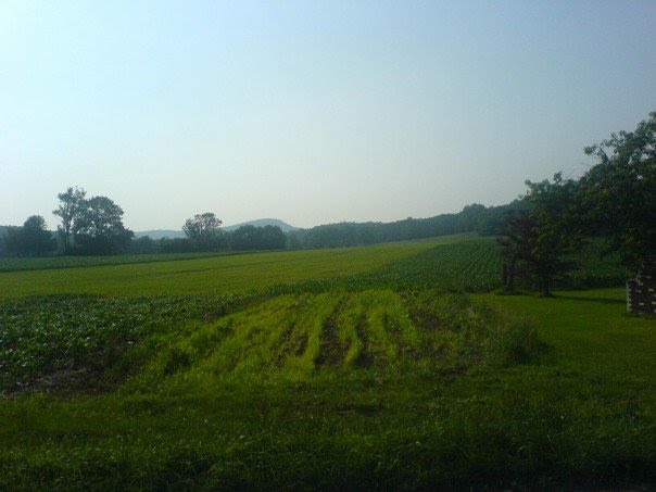 A Farm in Western Berks County, Pennsylvania