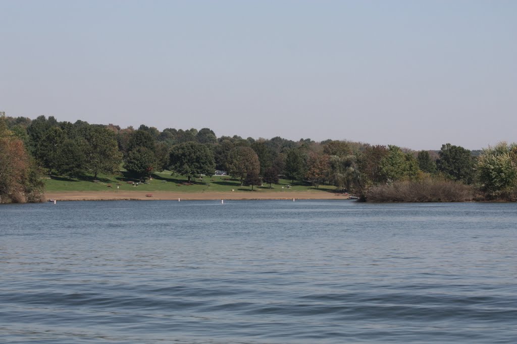 Blue Marsh Lake Day Use Area
