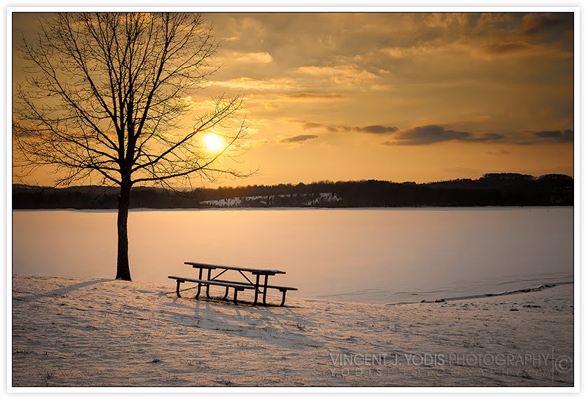 Lonely picnic