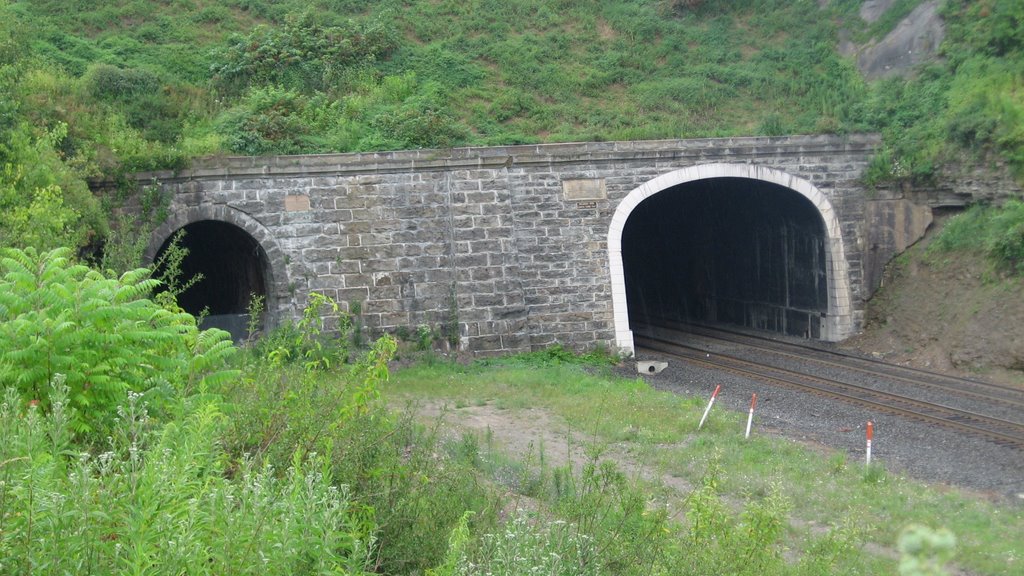 Gallitzin Tunnels