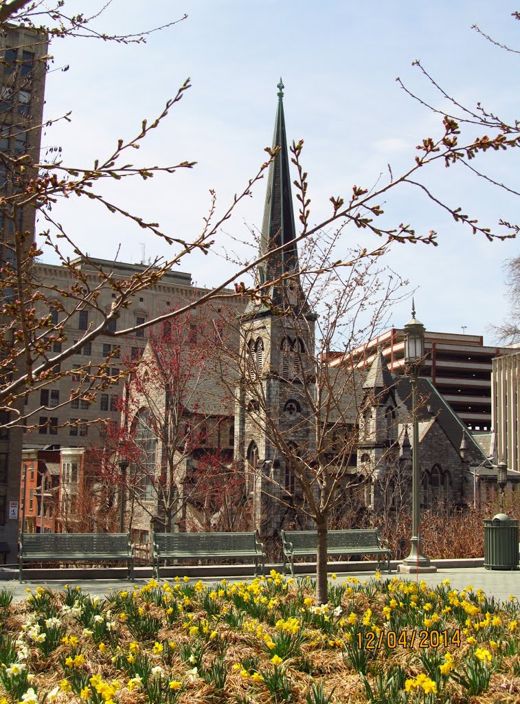 Pine St. Presbyterian church