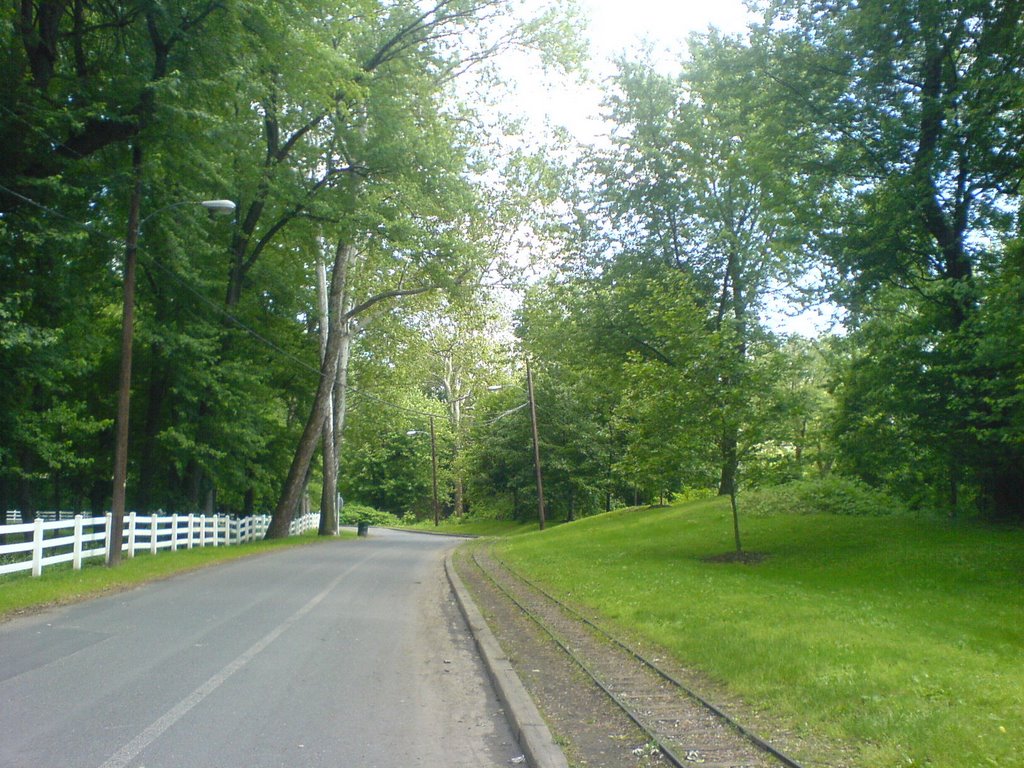 City Island