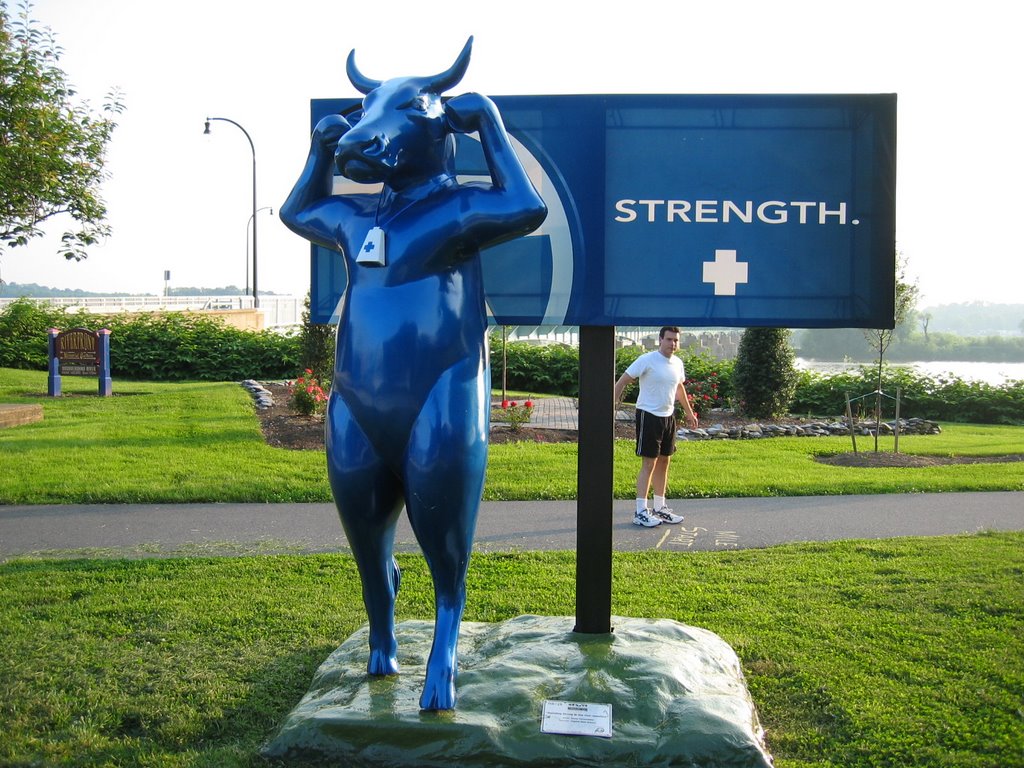 Standing Strong in Our Cow-munities (1)