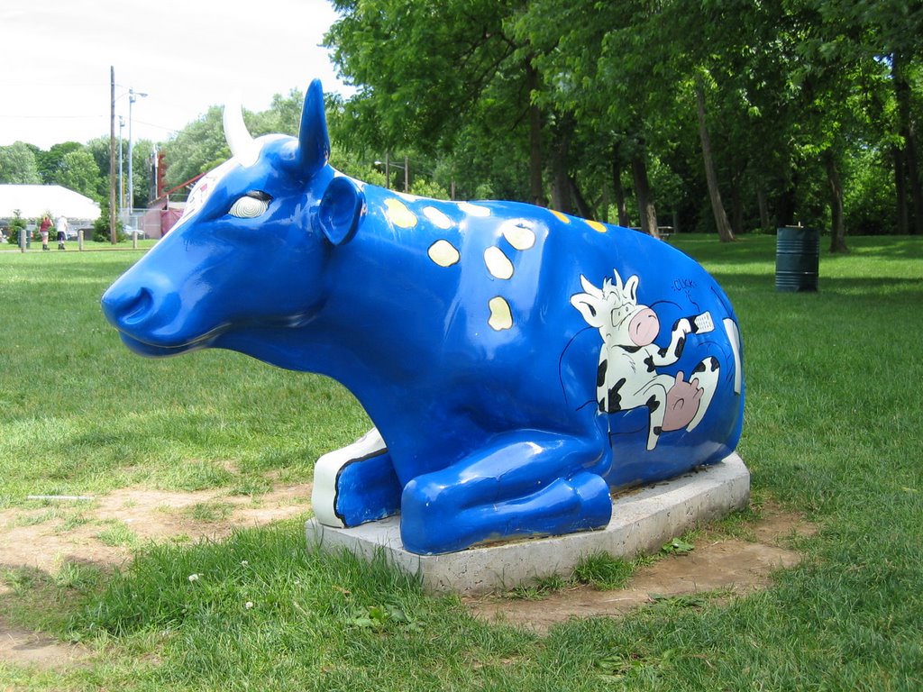 The Cow Potato (2)