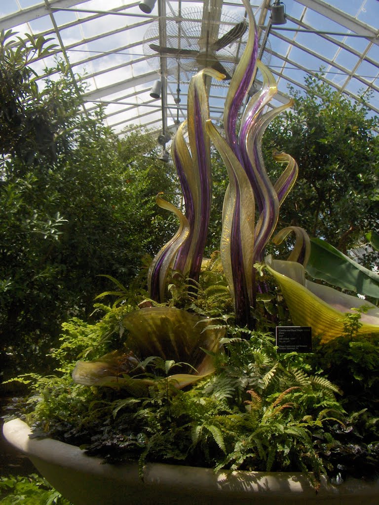 Pittsburgh Plant and Blown Glass