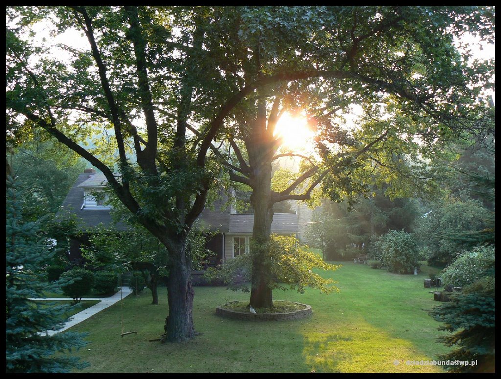 sunrise on Poplar St  - VII 2006