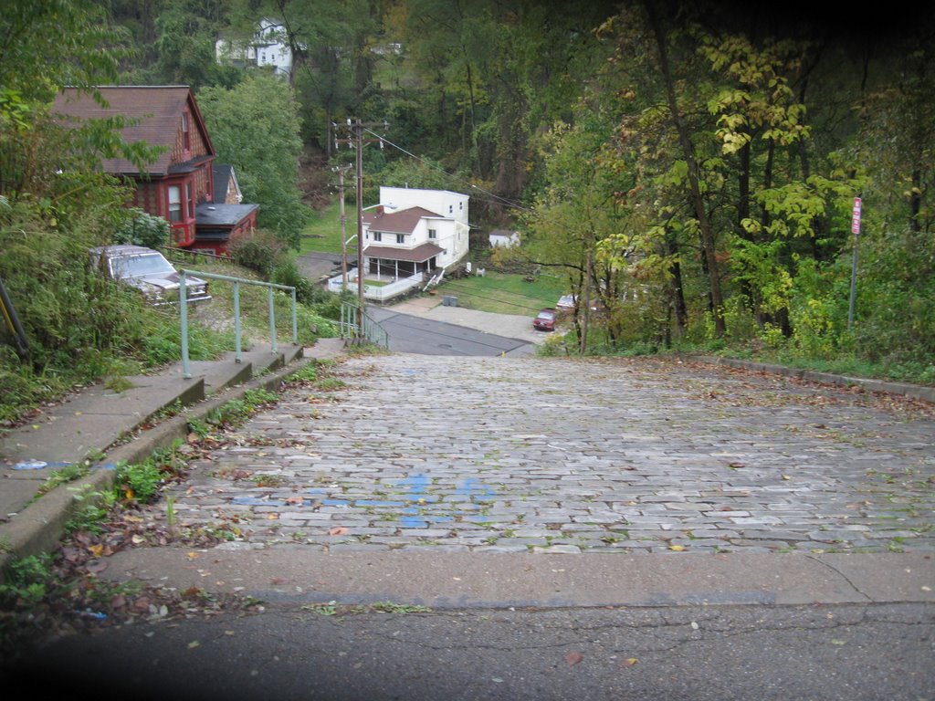 Canton Street, Beechview, Pa
