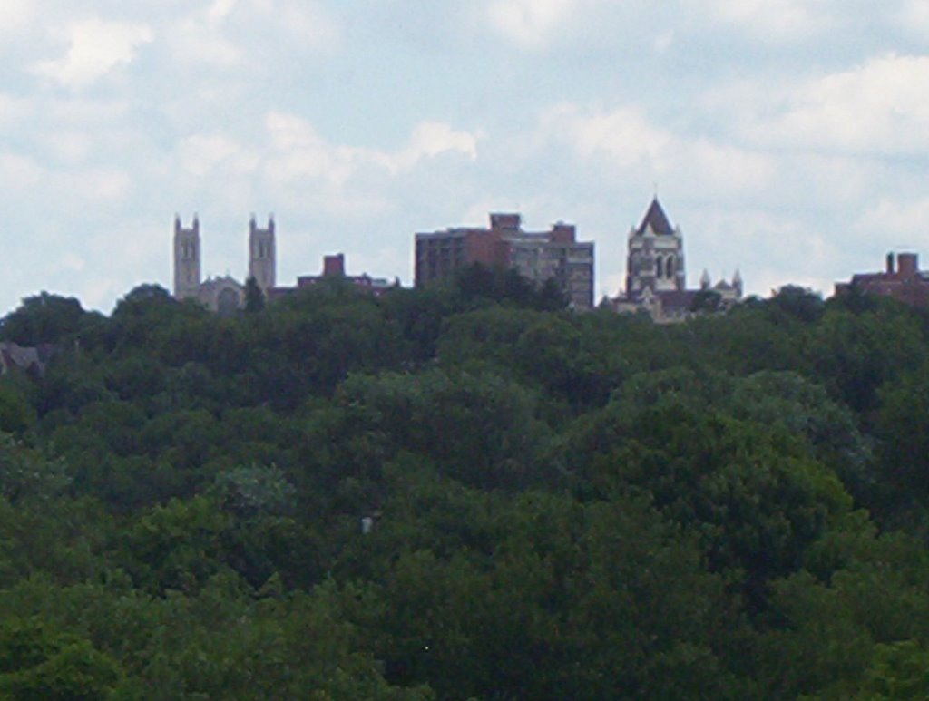 Mt. Lebanon from PA 121