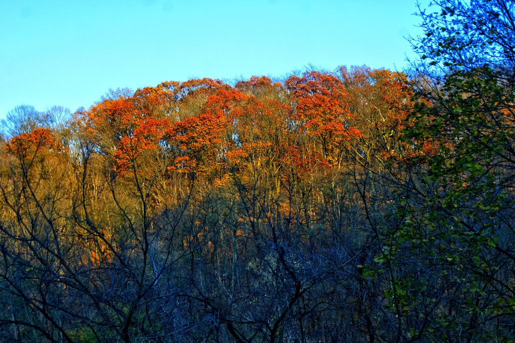sun on hilltop