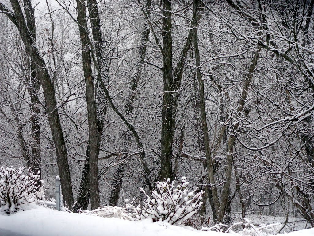 Pittsburgh February in B&W II