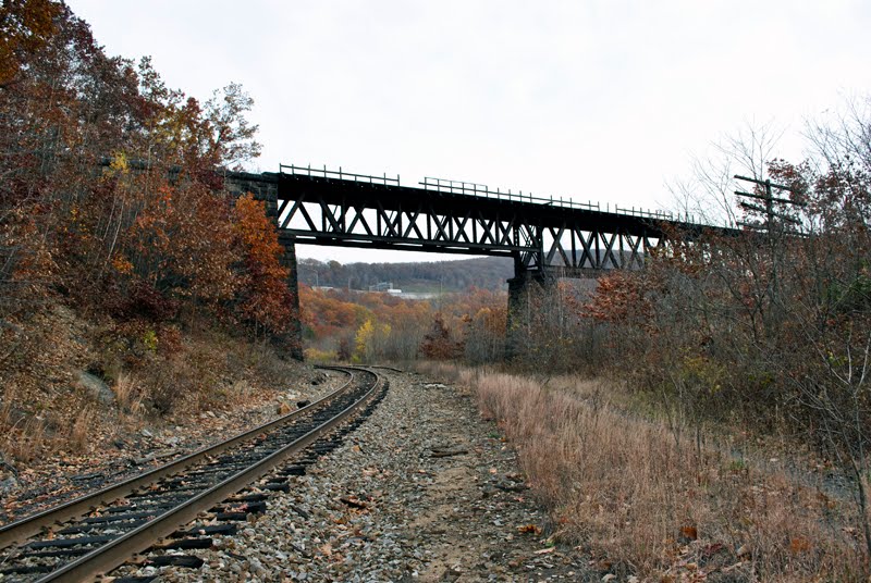 Old Rail Bridge