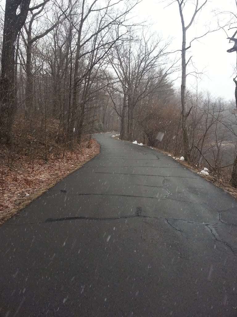 Lake Scranton Trail
