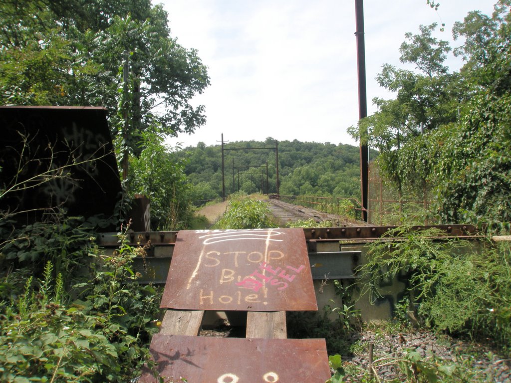 Looking West Down the High Bridge