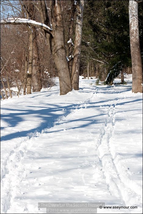 The Day after the Second Blizzard
