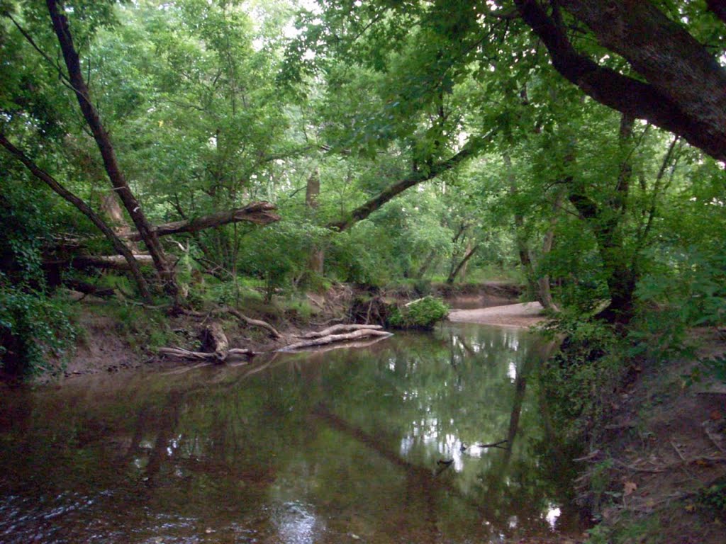 Lloyd Park