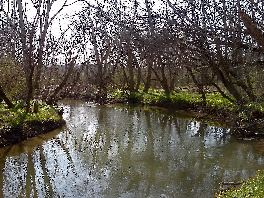 Gunard O. Carlson Memorial Park