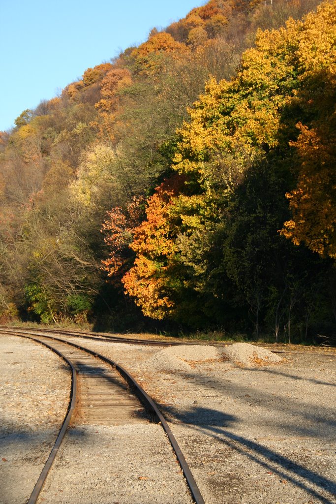 Tracks to mill plant