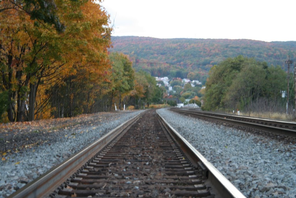 Fall foliage in Johnstown
