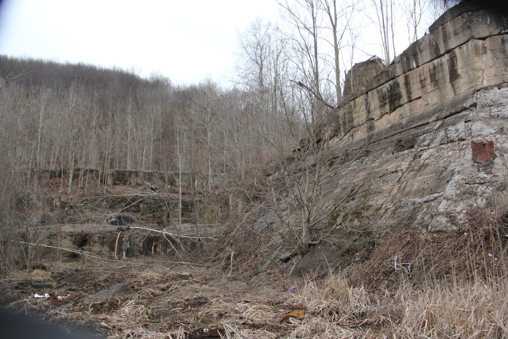 Rose Dale Bethlehem Steel