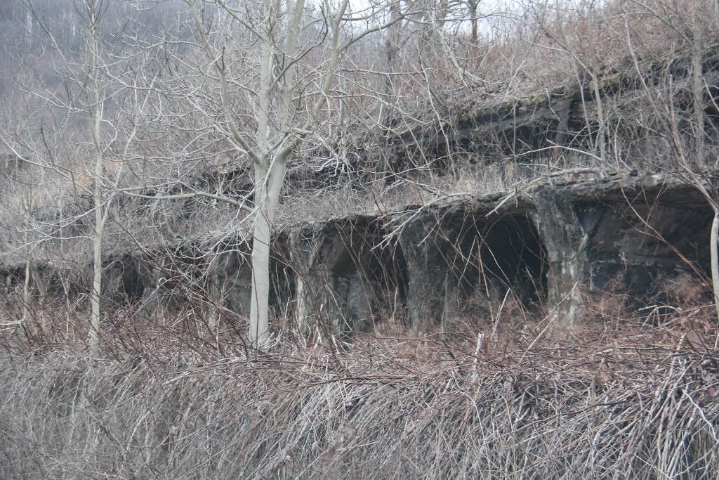 Rose Dale Bethlehem Steel