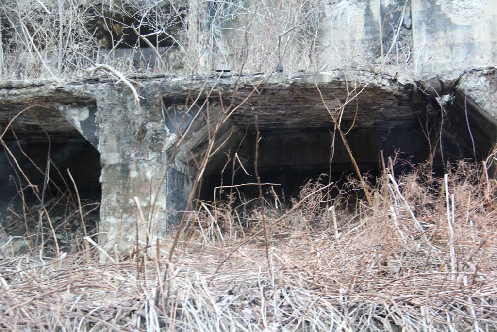 Rose Dale Bethlehem Steel