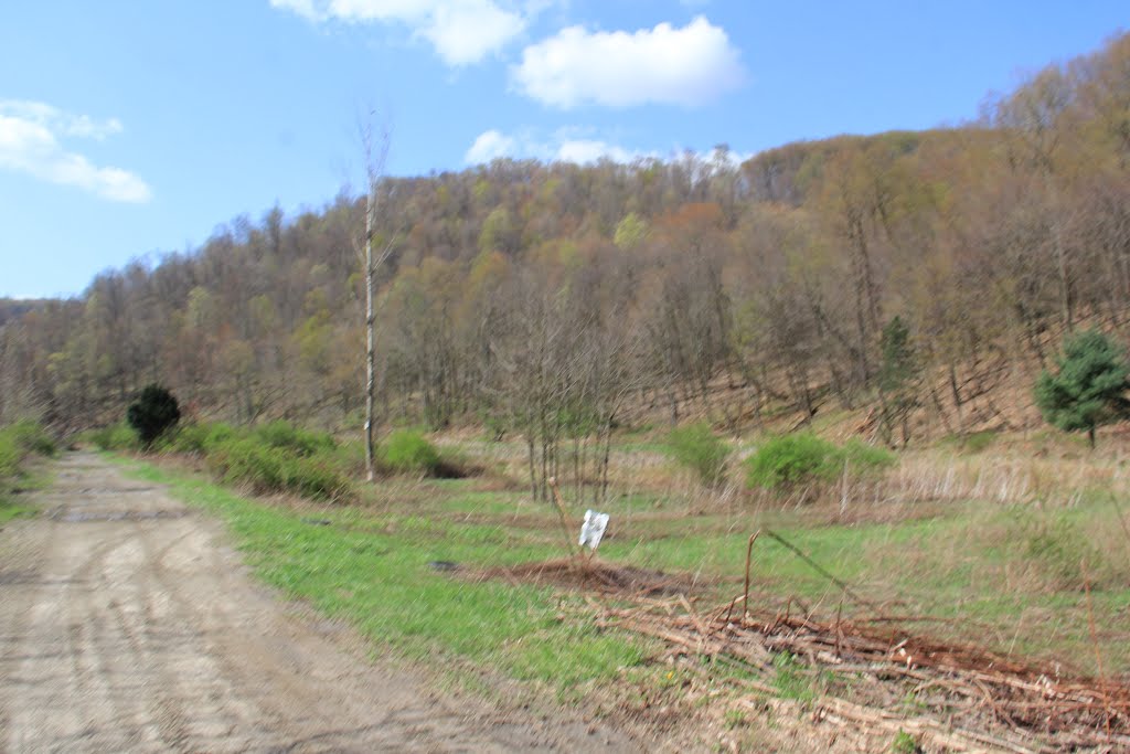 Hinckston Dam Lower Honan Ave Bike Route