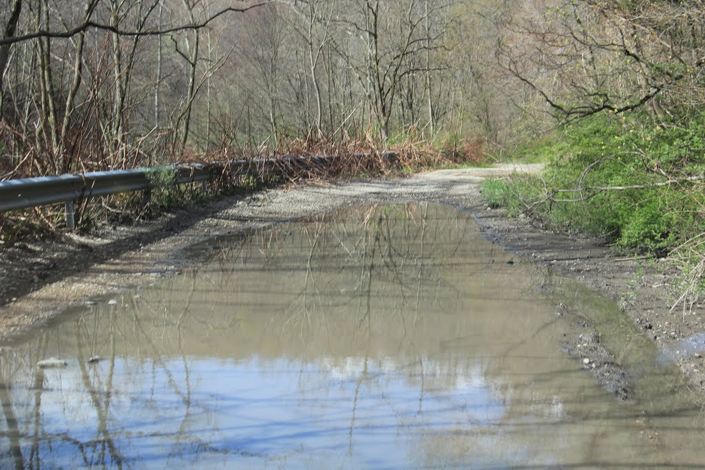 Hinckston Dam Lower Honan Ave Bike Route