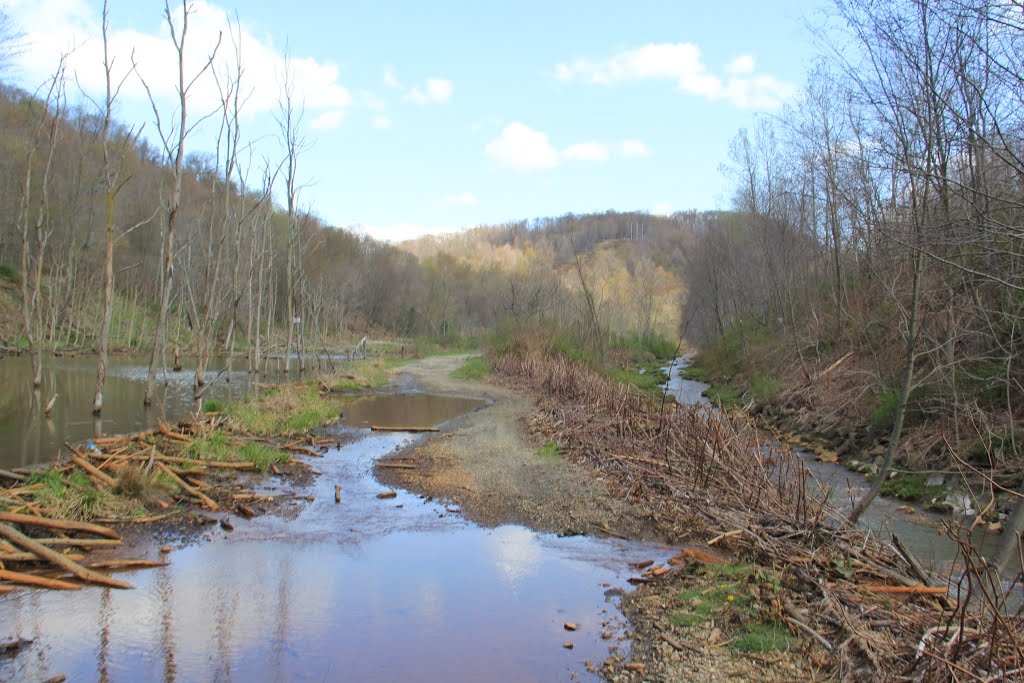 Hinckston Dam Lower Honan Ave Bike Route