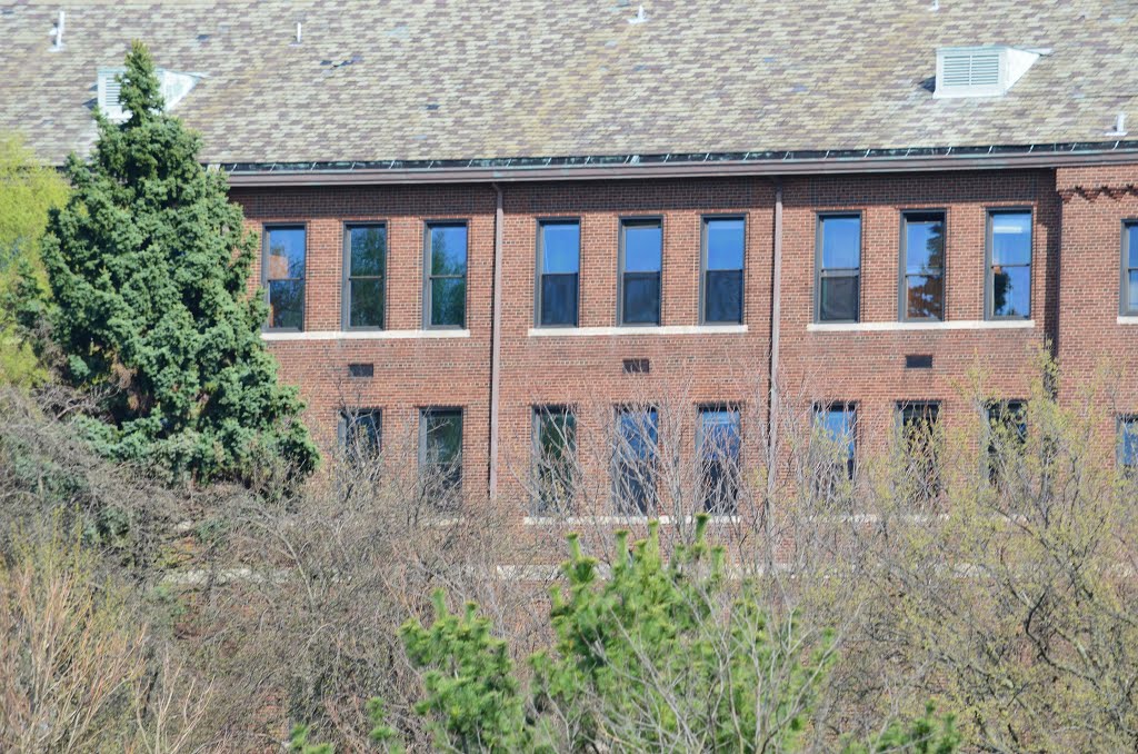 Abandonded Classroom Windows